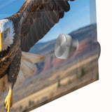 Close-up of a vibrant wall art piece featuring a collection of birds in flight, designed with intricate details and vivid colors, suitable for modern home decor. This acrylic glass artwork brings a lively touch to any space, showcasing nature's beauty in a stunning display.