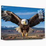 Acrylic glass wall art featuring a colorful bird design from the "Birds of Pray" collection, displayed from the side with visible mounting pins, ideal for vibrant home decor.