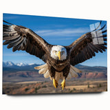 Acrylic wall art piece showcasing a vibrant, modern bird design in a side view, perfect for home decor, emphasizing bold colors and intricate details.