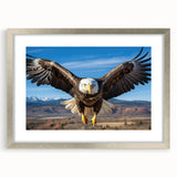 Framed wall art featuring a vibrant birds of prey design, showcasing intricate details and a sleek silver frame, perfect for elevating home decor aesthetics.
