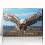 Framed wall art collection titled "Birds of Pray," showcasing a vibrant design of various birds in a silver-acrylic frame, perfect for enhancing modern decor.