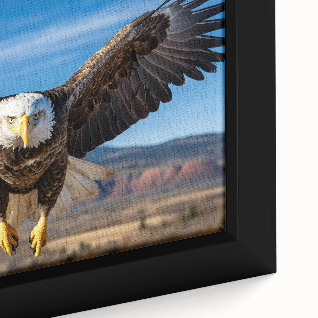 Framed canvas wall art showcasing a detailed close-up of a vibrant birds of prey design, featuring rich colors and intricate textures, perfect for wildlife enthusiasts.