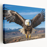 Stretched canvas wall art showcasing a vibrant birds of prey design, featuring detailed illustrations and rich colors, ideal for nature lovers' decor.