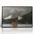 Framed wall art featuring a vibrant design of birds in flight, crafted with black acrylic, showcasing intricate details and bold colors, perfect for home decor.