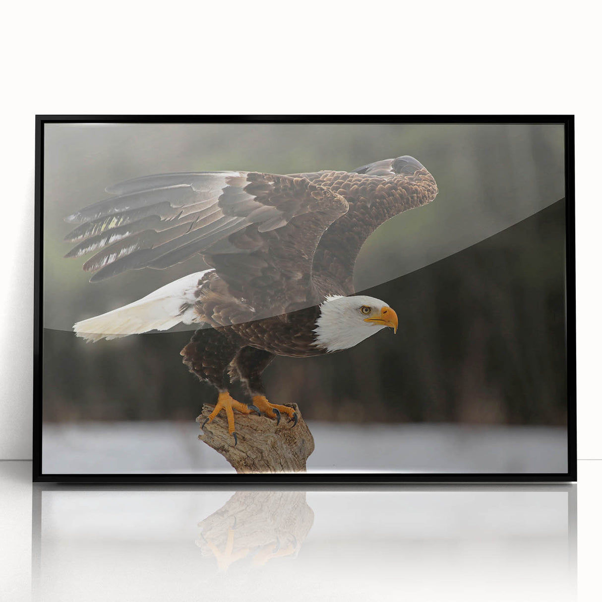 Framed wall art featuring a vibrant design of birds in flight, crafted with black acrylic, showcasing intricate details and bold colors, perfect for home decor.