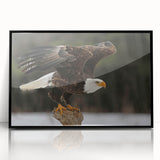 Framed wall art featuring a vibrant design of birds in flight, crafted with black acrylic, showcasing intricate details and bold colors, perfect for home decor.