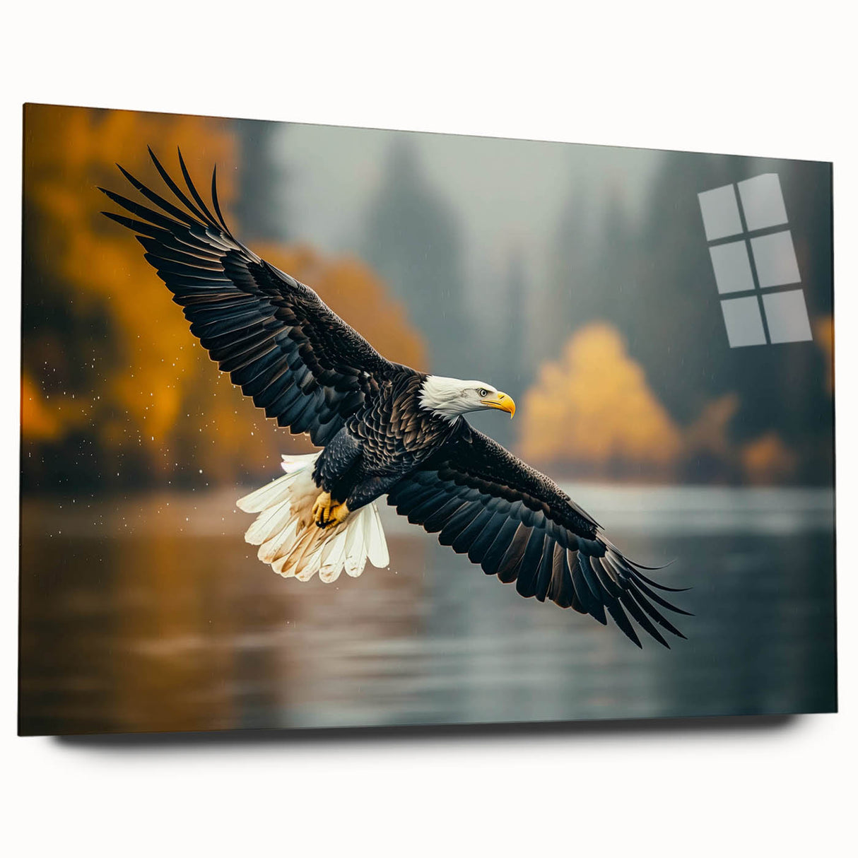Acrylic wall art piece showcasing a vibrant birds of prey design, featuring detailed illustrations of various birds in striking colors, displayed from a side view without pins, perfect for nature-themed decor.