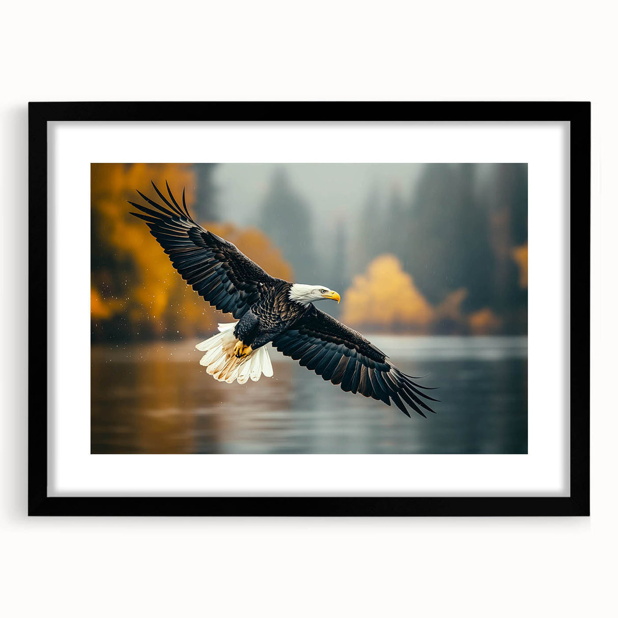 Framed wall art featuring an intricate design of various bird species in vibrant colors, set against a black background, perfect for enhancing home decor.