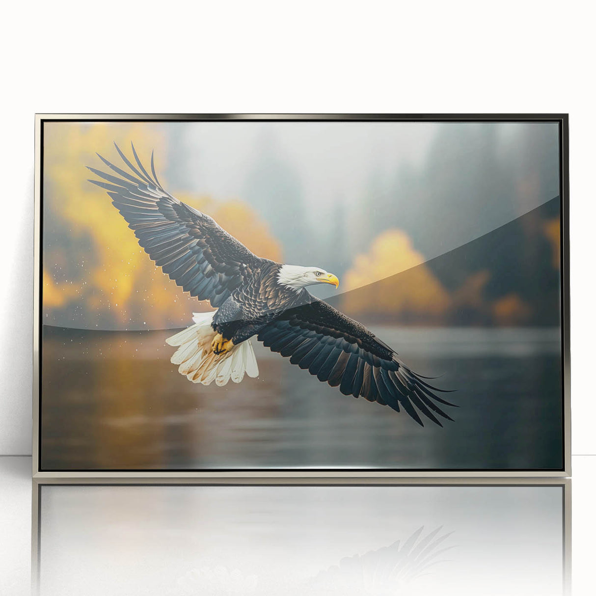 Framed wall art collection titled "Birds of Pray" showcasing a stylish design with silver accents and acrylic front, perfect for modern home decor.