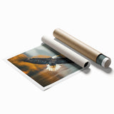 Colorful rolled print showcasing a vibrant collection of birds in flight, designed as wall art, elegantly packaged in a sturdy cardboard tube for display.