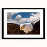 Framed wall art featuring a striking bird design in black, showcasing intricate details and vibrant colors, perfect for enhancing any contemporary decor.