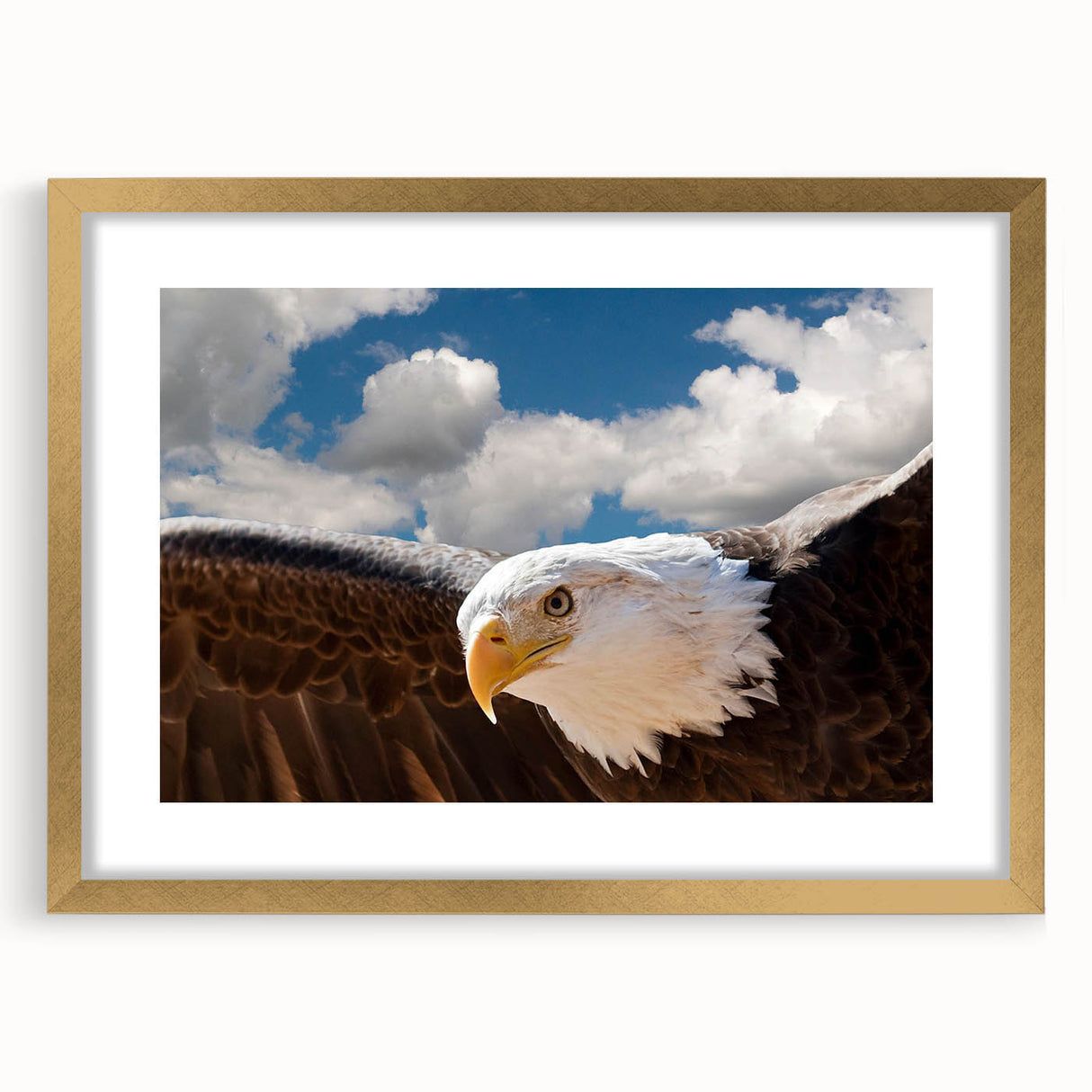 Framed wall art featuring a modern gold mat design showcasing a stylized bird motif, perfect for contemporary home decor and artistic expression.
