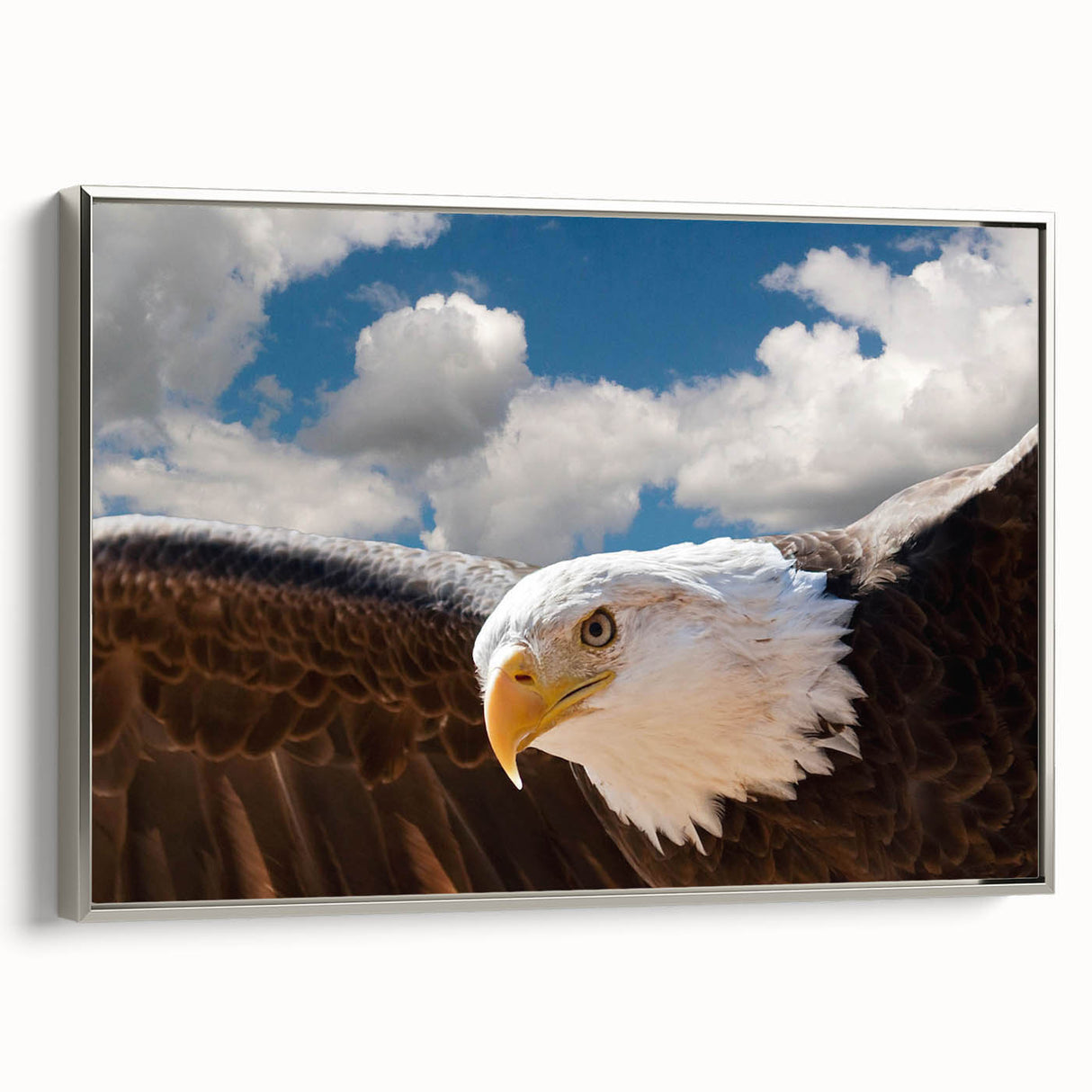 Framed wall art showcasing a detailed illustration of birds of prey, with a sleek silver frame highlighting the vibrant colors and intricate design, perfect for nature enthusiasts.
