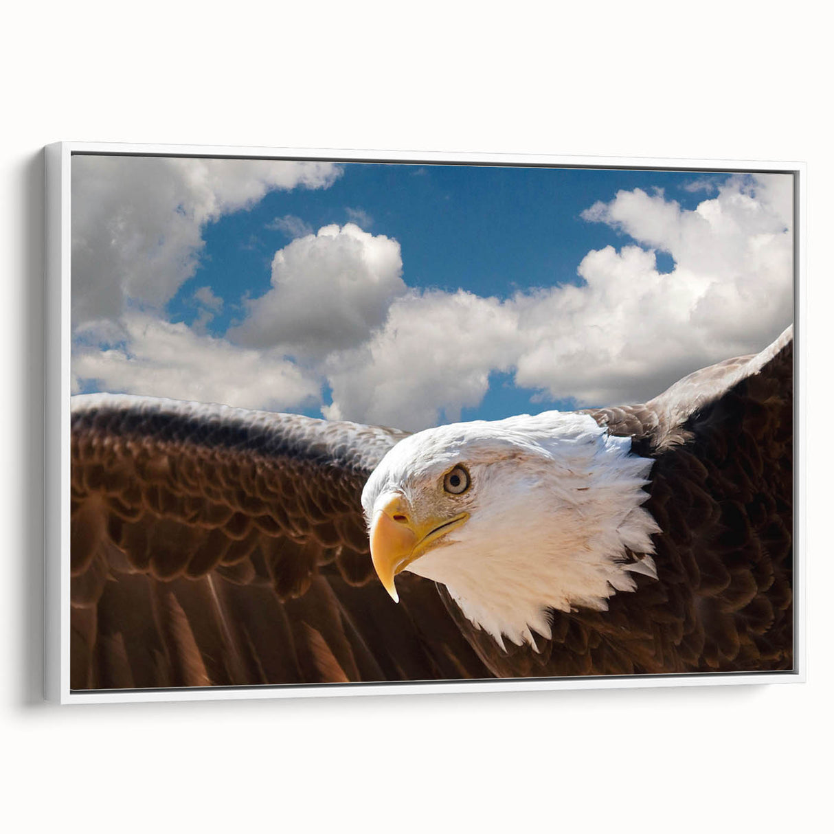 Framed canvas wall art showcasing a vibrant birds of prey design in a modern white frame, displayed from a side angle against a neutral background, perfect for home decor enthusiasts.