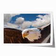 Vibrant rolled wall art print showcasing an intricate design of birds in flight, featuring a colorful palette and dynamic composition, perfect for home decor.