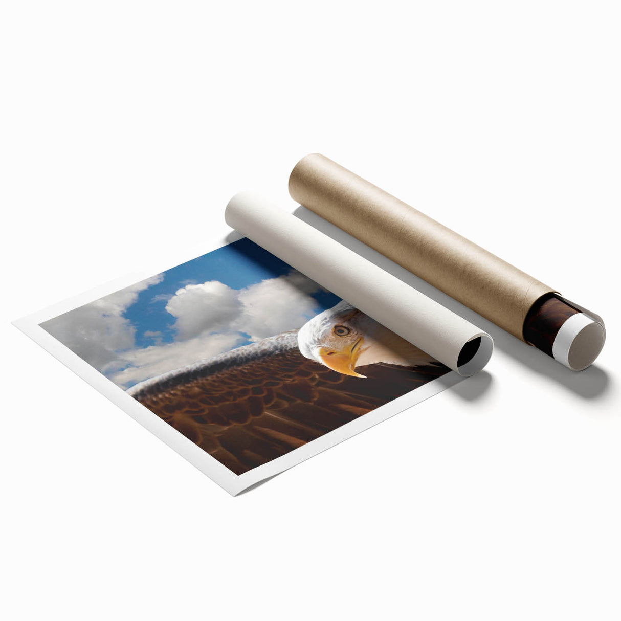 Colorful rolled print showcasing a vibrant bird of prey design, featuring intricate details and textures, ideal for home decor or art enthusiasts. Packaged securely for delivery.