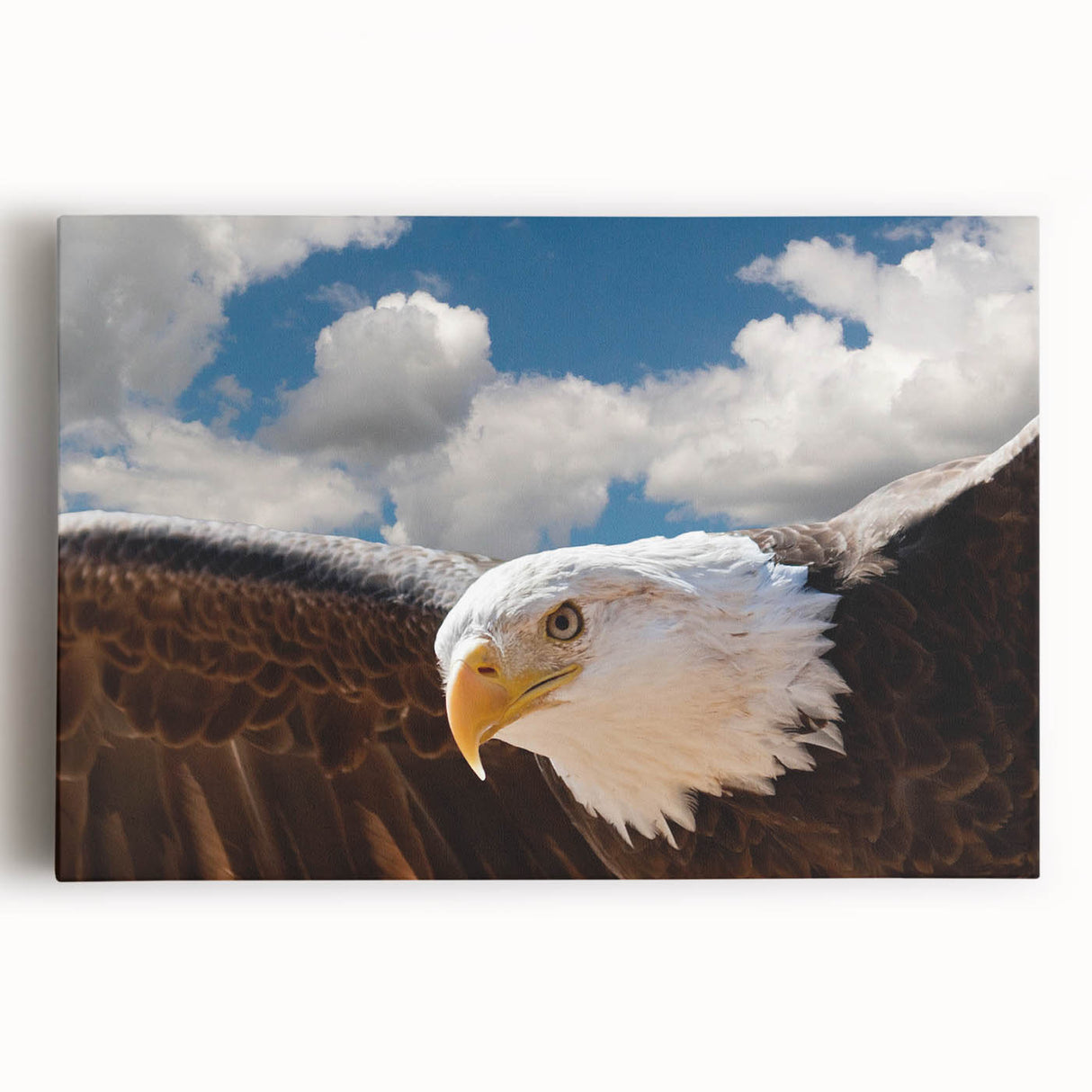 Stretched canvas wall art featuring a vibrant design of various birds, showcasing intricate details and rich colors, perfect for home decor or nature enthusiasts.