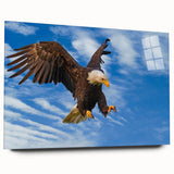 Acrylic glass wall art featuring a vibrant collection of birds, showcasing intricate details and vivid colors, displayed elegantly without visible pins, ideal for modern decor.