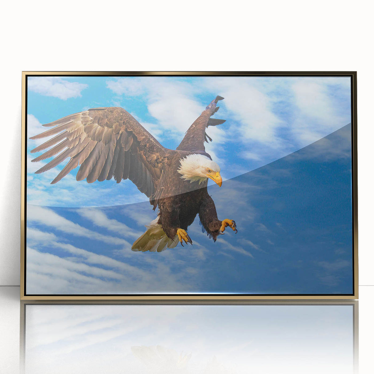 Framed wall art showcasing a stunning birds of prey design with vibrant colors and a sleek gold frame, ideal for enhancing home decor and wildlife appreciation.