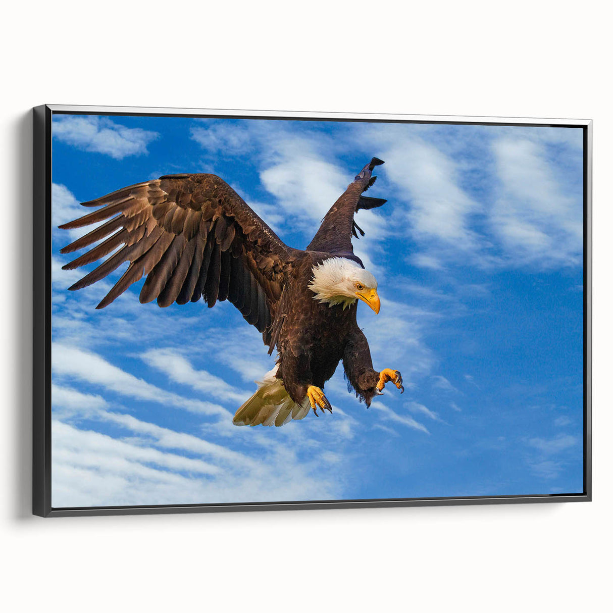 Framed wall art featuring a vibrant bird design from the "Birds of Pray" collection, showcasing a sleek black frame and textured canvas for a modern touch.
