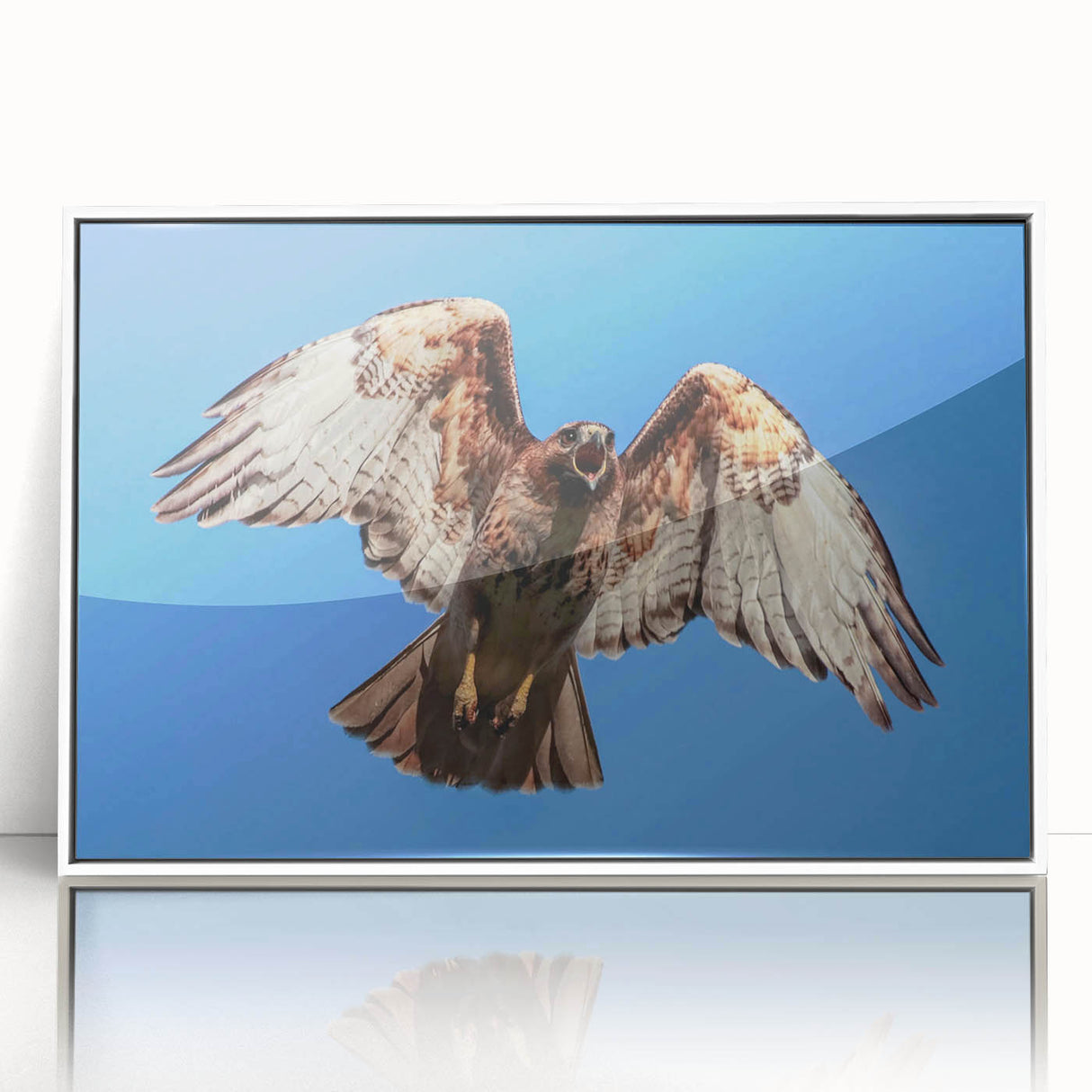 Framed acrylic wall art featuring a vibrant "Birds of Pray" design with intricate bird illustrations, set against a sleek white background, ideal for modern decor.