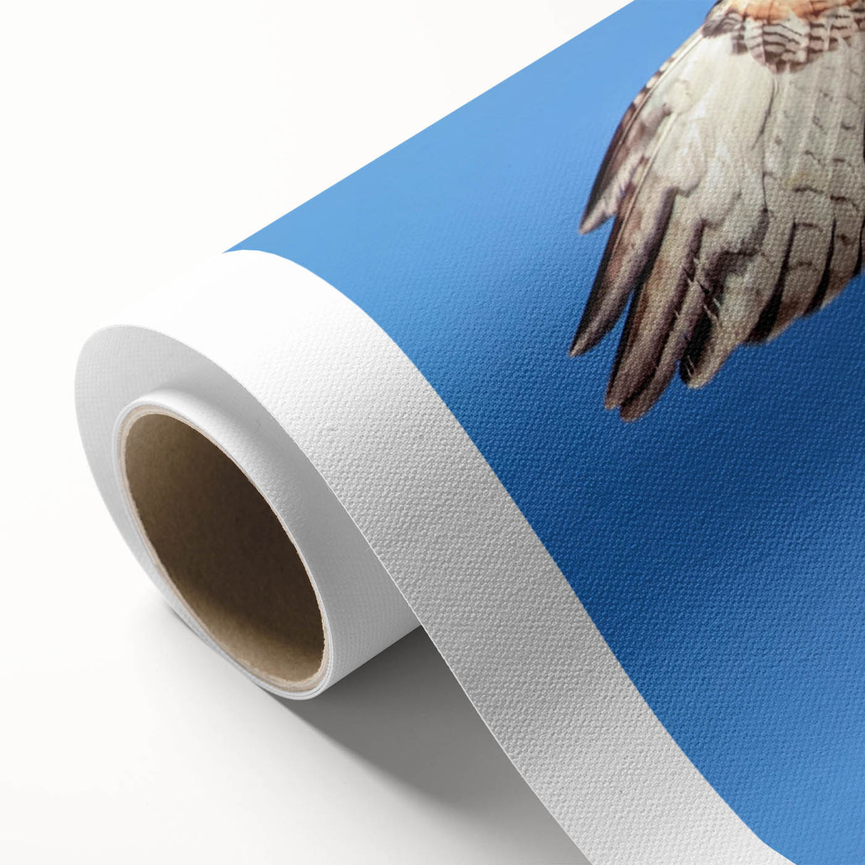 Colorful rolled canvas showcasing a vibrant birds of prey design, featuring intricate details and a textured finish, ready for wall display or gifting.