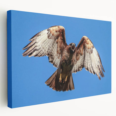 Stretched canvas wall art showcasing a vibrant design of various birds in flight, featuring rich colors and intricate details, perfect for modern home decor.