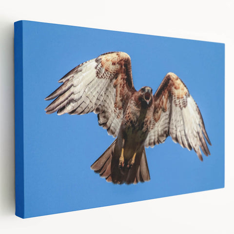 Stretched canvas wall art showcasing a vibrant design of various birds in flight, featuring rich colors and intricate details, perfect for modern home decor.
