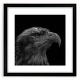 Framed wall art featuring a striking black mat and a vibrant design of birds, ideal for home decor, showcasing intricate details and colors. Perfect for bird lovers.