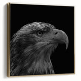 Framed wall art featuring a stunning design of birds of prey, showcasing intricate details and vibrant colors, set against a gold background, perfect for home decor.