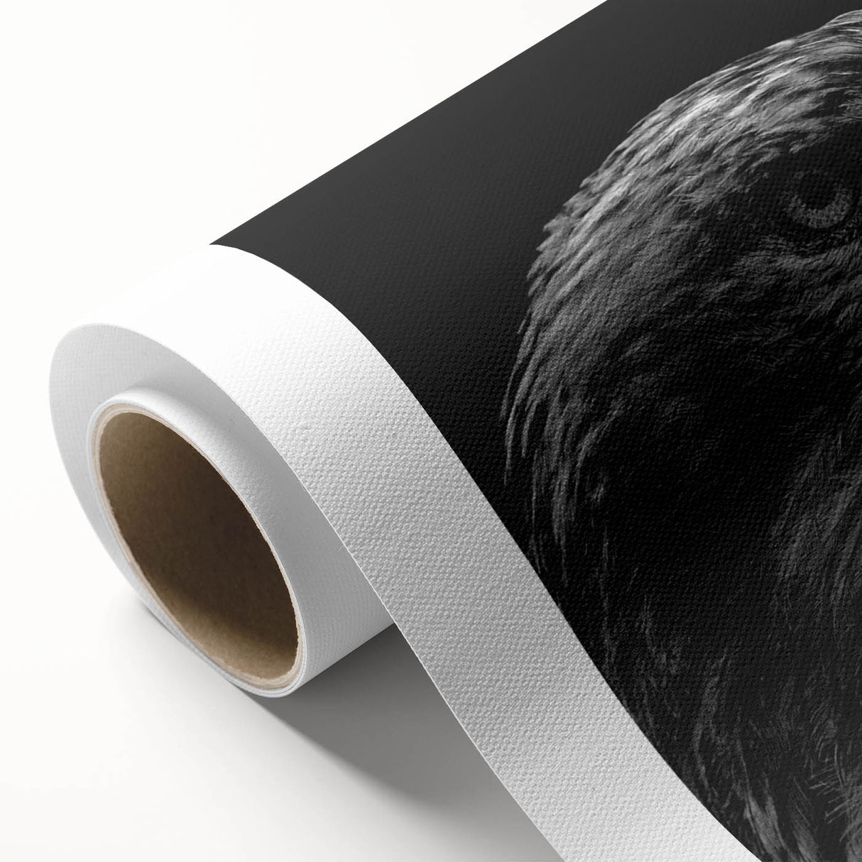 Vibrant rolled canvas showcasing a stunning birds of prey design, perfect for wall art enthusiasts. Textured surface with rich colors, ideal for home decor.
