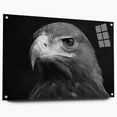 Acrylic glass wall art collection titled "Birds of Pray," featuring a vibrant, detailed design of colorful birds in flight, displayed with decorative pins, side view.