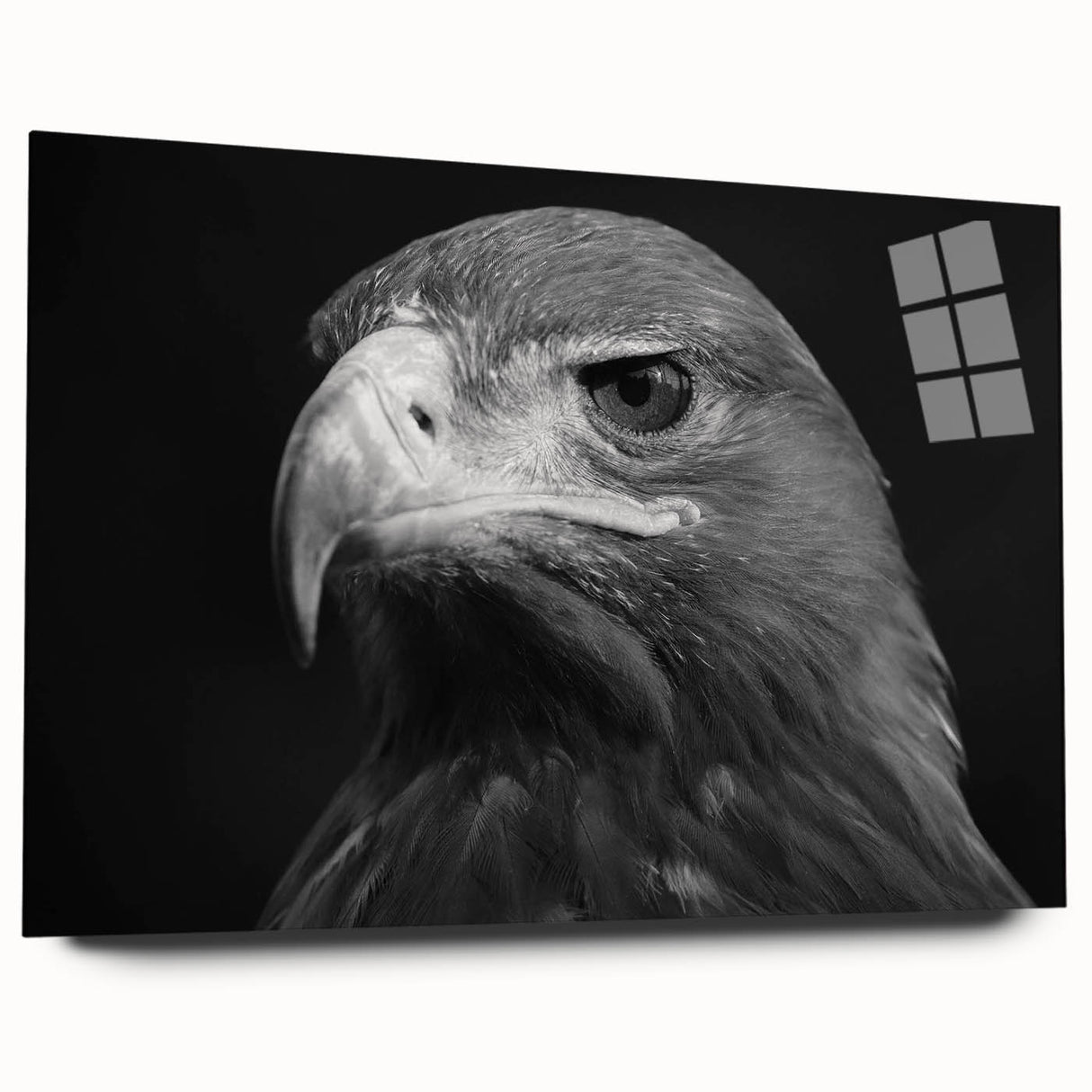 Acrylic glass wall art featuring a vibrant birds of prey design, showcasing intricate details and colors, displayed in a side view without pins for a modern aesthetic.