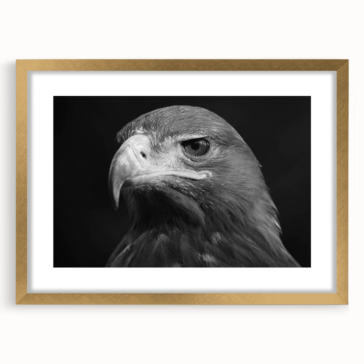 Framed wall art featuring a golden mat with a bird design, showcasing intricate details and vibrant colors, ideal for stylish home decor enhancement.