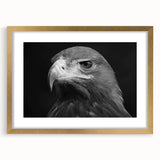 Framed wall art featuring a golden mat with a bird design, showcasing intricate details and vibrant colors, ideal for stylish home decor enhancement.