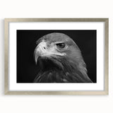 Framed wall art featuring a detailed design of birds, showcasing vibrant colors with a sleek silver frame and mat, perfect for home decor enthusiasts.