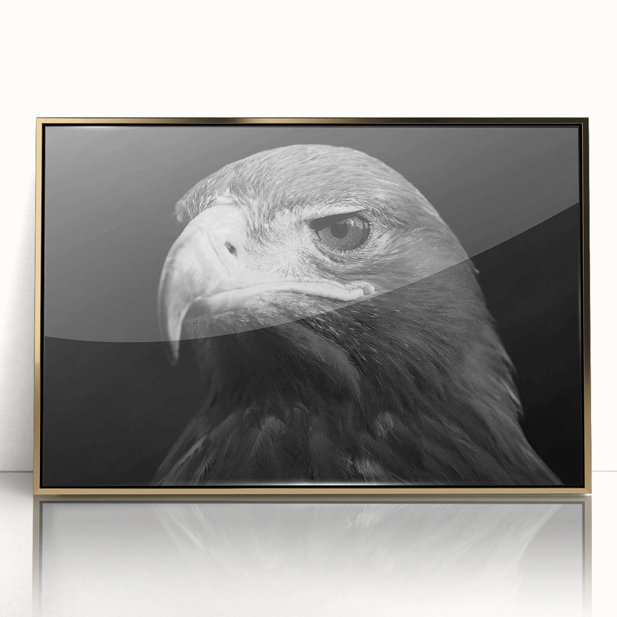 Framed acrylic wall art featuring a vibrant "Birds of Pray" design, showcasing intricate bird illustrations in gold tones, perfect for modern home decor.