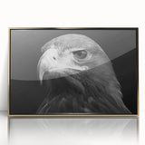 Framed acrylic wall art featuring a vibrant "Birds of Pray" design, showcasing intricate bird illustrations in gold tones, perfect for modern home decor.