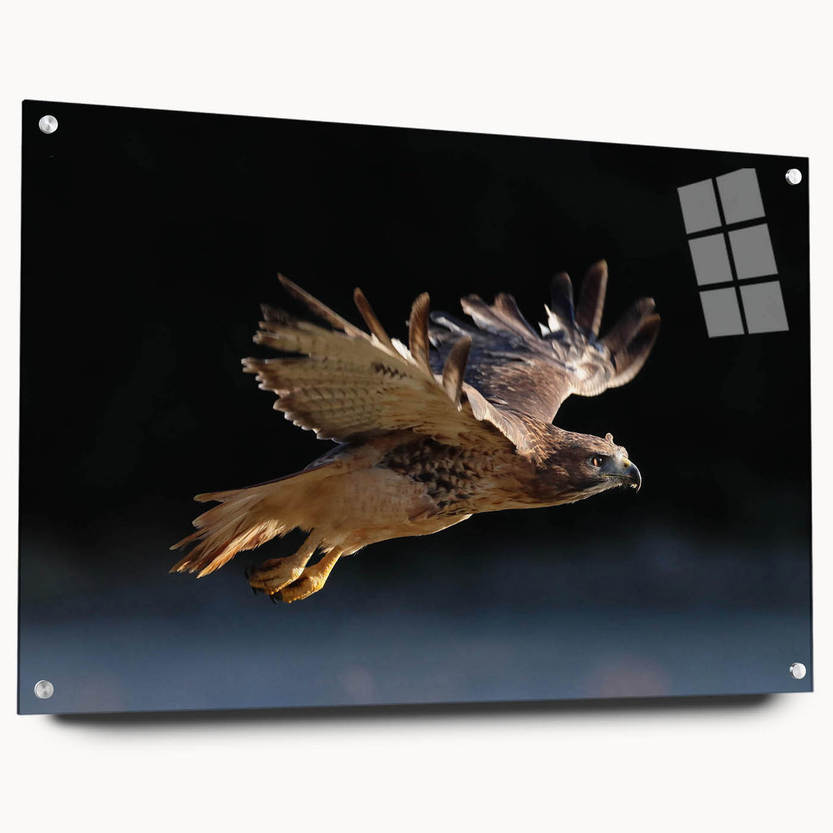 Acrylic glass wall art featuring a vibrant "Birds of Pray" design, showcasing a side view with decorative pins for easy hanging, perfect for modern home decor.