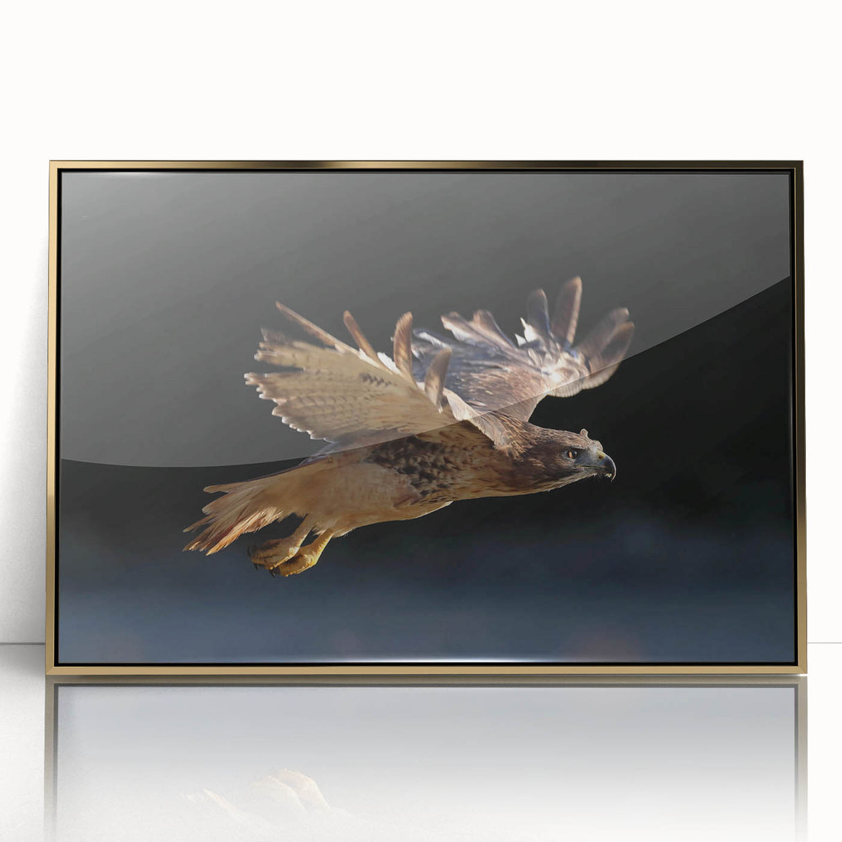 Framed acrylic wall art featuring an elegant gold "Birds of Pray" design, showcasing intricate bird illustrations against a neutral background, perfect for modern decor.