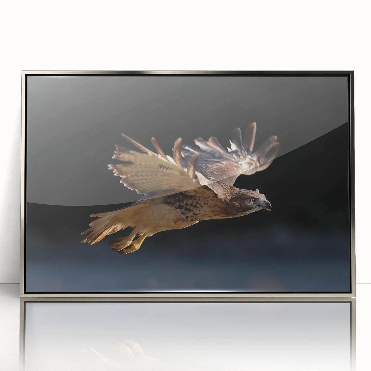 Framed wall art collection titled "Birds of Pray" showcasing an elegant acrylic design with silver accents, ideal for modern home decor or bird enthusiasts.