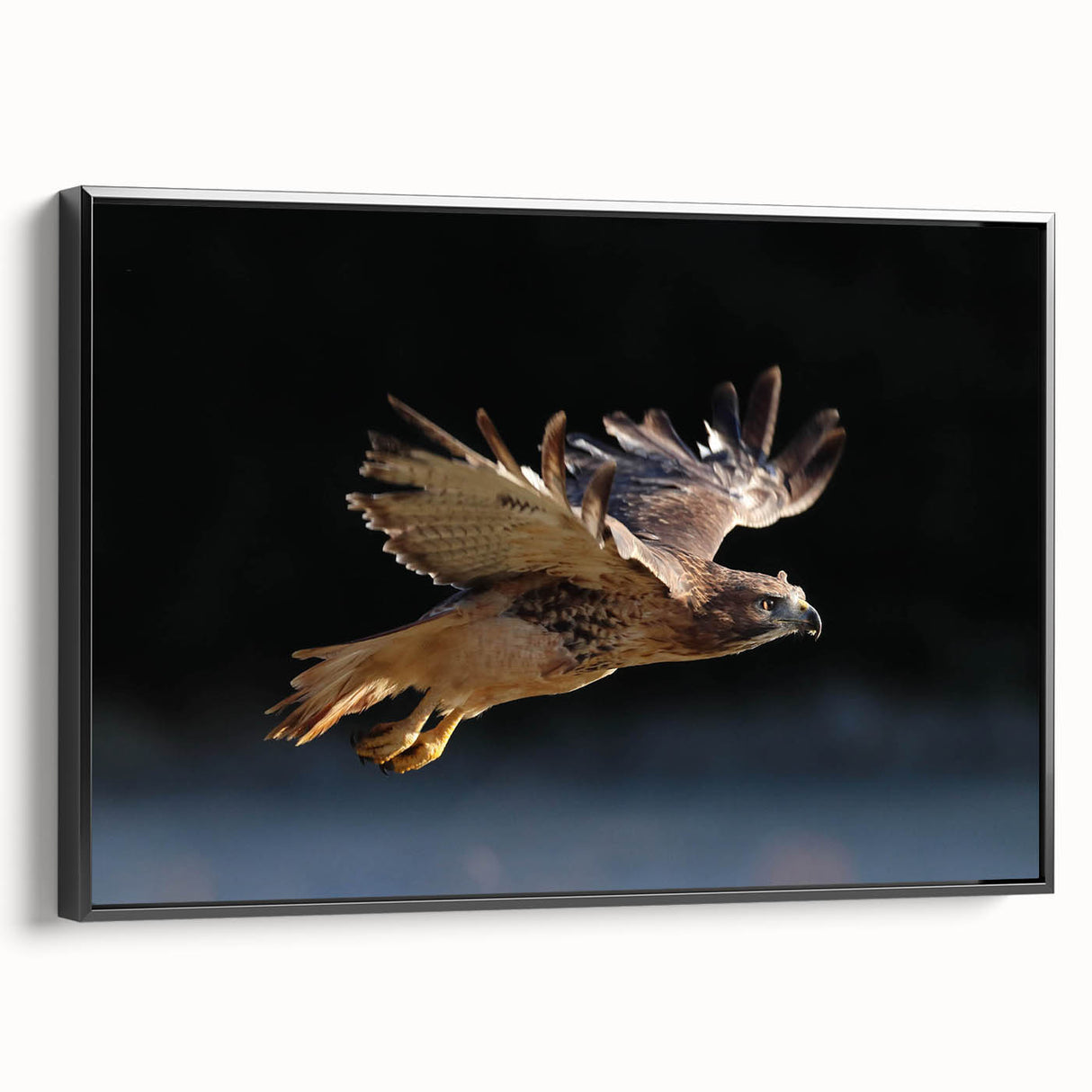 Framed wall art featuring an abstract design of birds in flight, set against a black background, showcasing vibrant colors and dynamic shapes, perfect for modern decor.