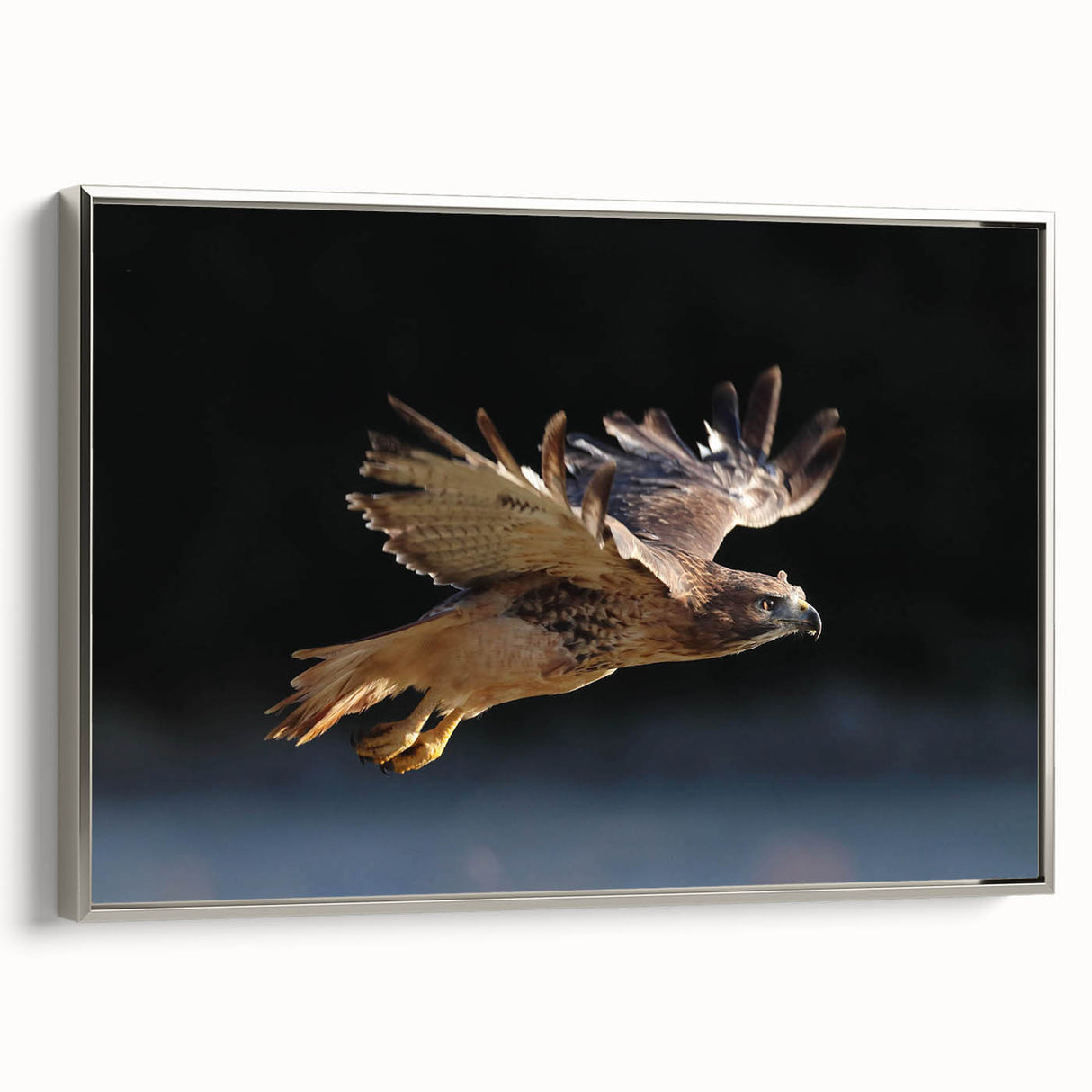 Framed canvas wall art showcasing a stunning birds of prey design in silver tones, highlighting intricate details on a textured surface, perfect for nature lovers.