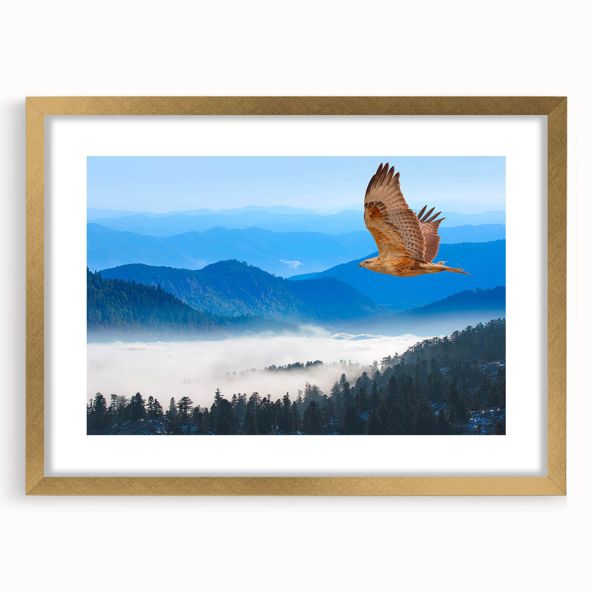 Gold-framed wall art featuring a colorful birds of prey design, elegantly matted for display, showcasing intricate details against a white background.