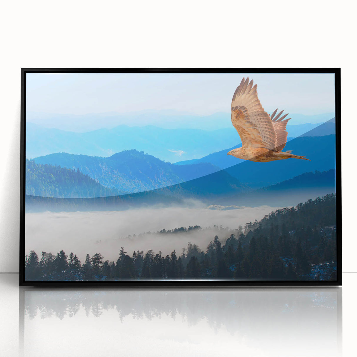 Framed acrylic wall art featuring a striking "Birds of Prey" design with a sleek black frame, showcasing vibrant colors and intricate details, perfect for home decor.