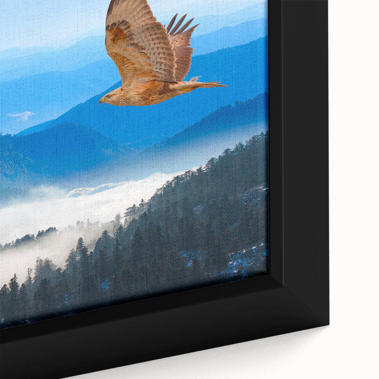 Framed canvas artwork depicting a vibrant collection of birds in flight, showcasing intricate details and vivid colors, perfect for enhancing any modern decor.