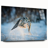 Acrylic glass wall art featuring a vibrant birds of prey design, showcasing intricate details and colors, viewed from the side without pins, ideal for home decor.