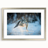 Framed wall art featuring a stunning birds of prey design in a silver frame with a mat, perfect for adding elegance to any living space.