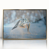 Framed acrylic wall art featuring a gold "Birds of Prey" design, showcasing vibrant colors and intricate details, perfect for modern home decor.