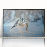 Framed acrylic wall art featuring a collection of birds in a detailed design, showcasing vibrant colors and elegant silver frame, ideal for modern decor.